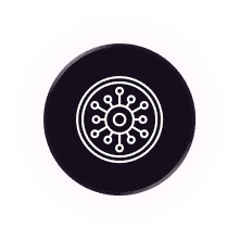 Advisors & Wisdom Keepers